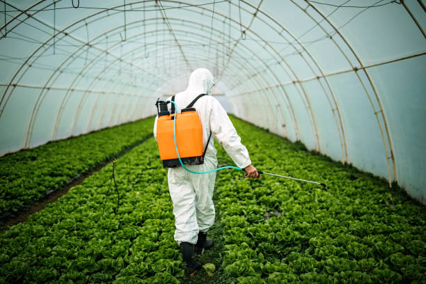 Best Affordable Pest Control Services  in Big Timber, MT
