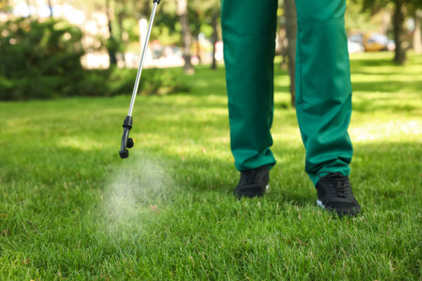Best Pest Control Treatment  in Big Timber, MT