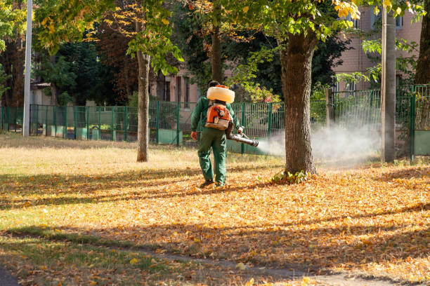 Best Residential Pest Control  in Big Timber, MT